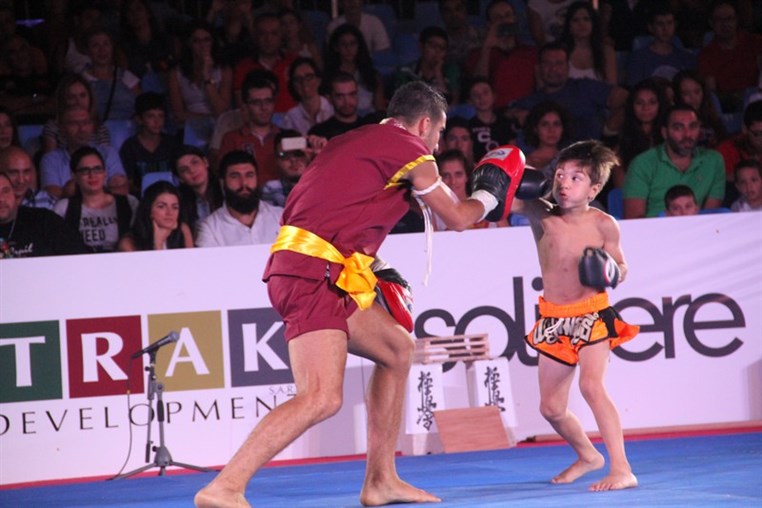 Martial Arts Festival